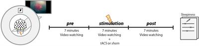 Detection of Transcranial Alternating Current Stimulation Aftereffects Is Improved by Considering the Individual Electric Field Strength and Self-Rated Sleepiness